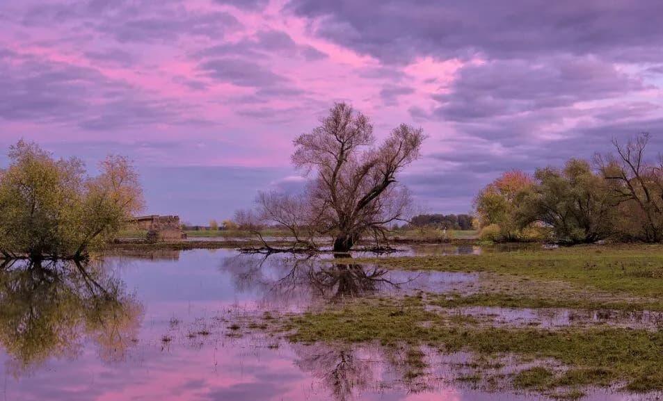 Jak sprawdzić czy działka jest na terenie zalewowym i uniknąć strat