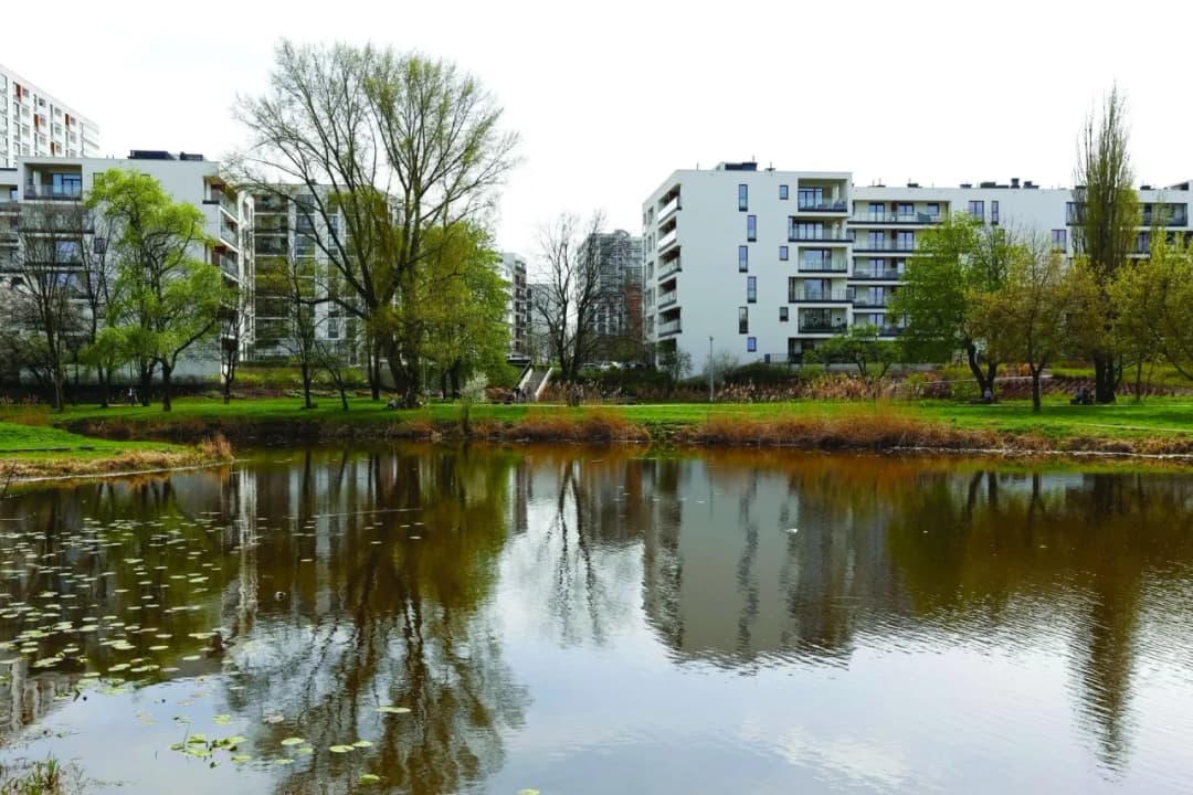 Jakie drzewa sadzić na osiedlach, aby uniknąć problemów w przyszłości?